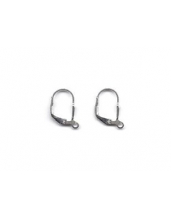 Silver Ear Hook